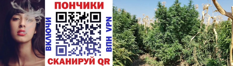 Марихуана тримм  купить наркоту  Котовск 
